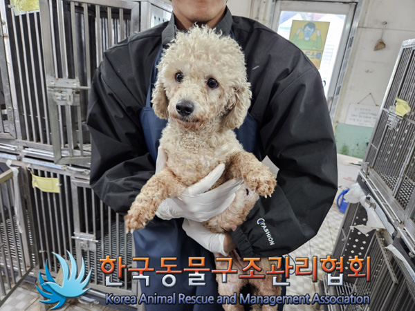 한국동물구조관리협회_441404202400552